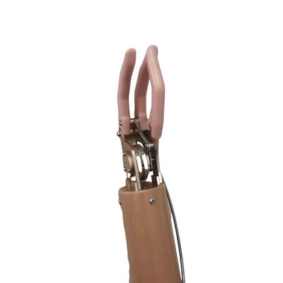 quality  350mm Upper Limb Prosthetic , Cable Control Mechnical Arm factory