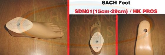 SACH Foot