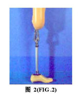 Four Bar Knee Joint for Knee Disarticulation  stainless steel/ titanium  3R46
