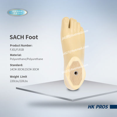 SACH-Foot